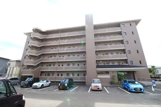 グランドパインドゥの画像