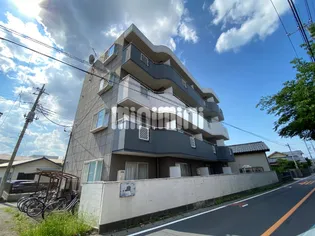 ニュークリアス中大類の画像