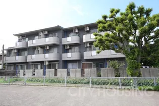 DUGOUT310【3階】の外観