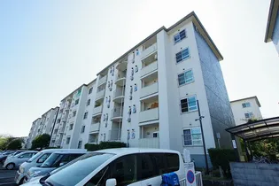 藤阪ハイツA1棟の画像