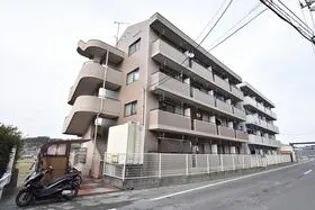 マーベリーナの画像