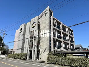 センコーナインの画像