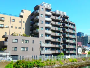 月島パインマンション【6階】の外観