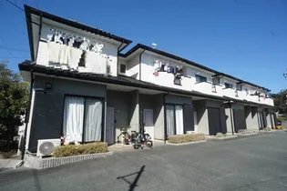 メイプルトゥリーの画像