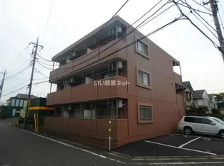 プリムローズの画像