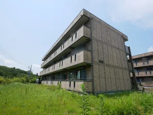 グレースヒルズI【3階】の外観