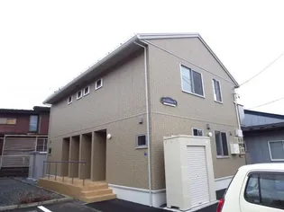 シャムロックVの画像