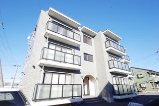 キャメロット フィーノの画像