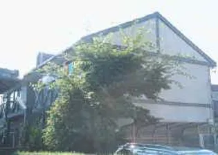 イズランドの画像