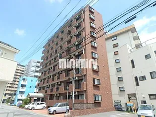 CITY Mー56の画像