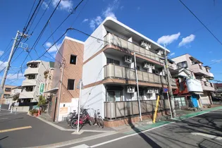 ヴィーナスの画像