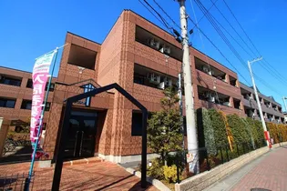 サザンクロスBの画像