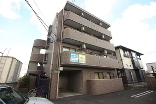 アプリコット Gの画像