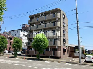 エクレールの画像