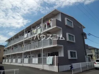 コスモス24の画像