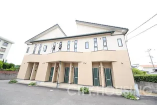 メゾフォルテの画像