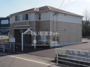ステラ松の画像
