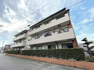 エクセルコートの画像