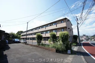 アンドミーワの画像