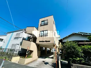 ゴールデンスピアの画像