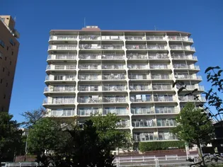 洋伸東大島マンション【8階】の外観