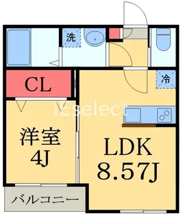 カクタス幕張本郷【1階】の間取り