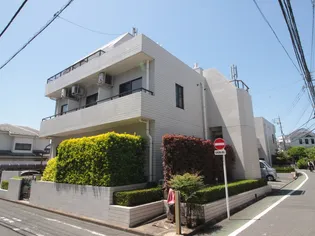 グレース桜の画像