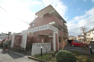 シャトルコートの画像