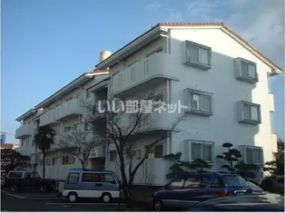 第8常盤ビルの画像