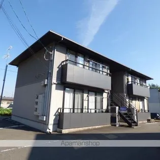チェスナットの画像