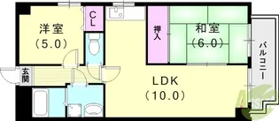 ナインハイツ【11階】の間取り