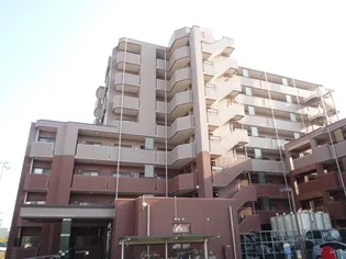 ルミネール泉の画像