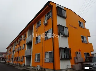 シャトルムツミの画像