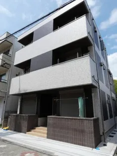 カーサリリーの画像