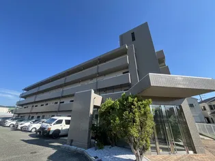 リゾうねのⅡの画像