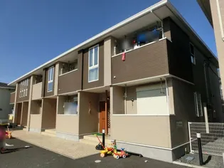 プラシードBの画像