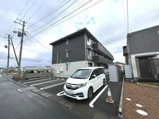 センチュリーの画像