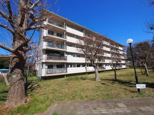 諏訪原団地1街区1号棟の画像