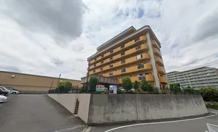 グリーンライトの画像