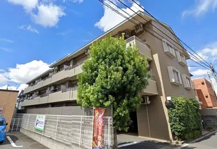 パレソレイユの画像