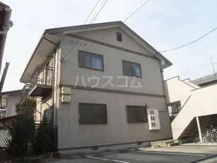 ロベリアの画像
