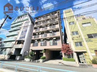 NOVUM ROSAの画像