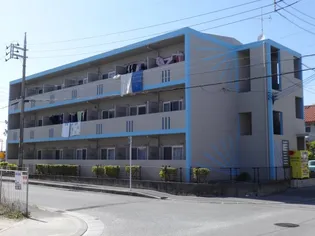 沖縄県那覇市真嘉比3【アパート】の外観