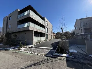 アリビオの画像