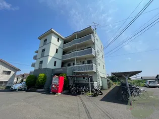 バーシティハウス泉A【4階】の外観