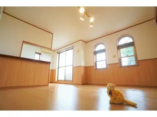 グリーンベルの画像