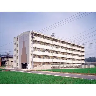 クリーンハイツオンリーワンの画像