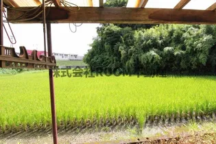 栄コーポ【1階】のその他画像