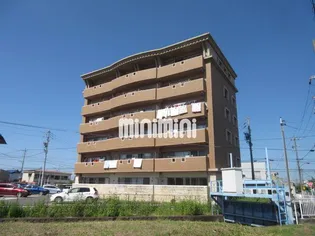 クリスタルパレスの画像