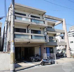 カルム泉の画像